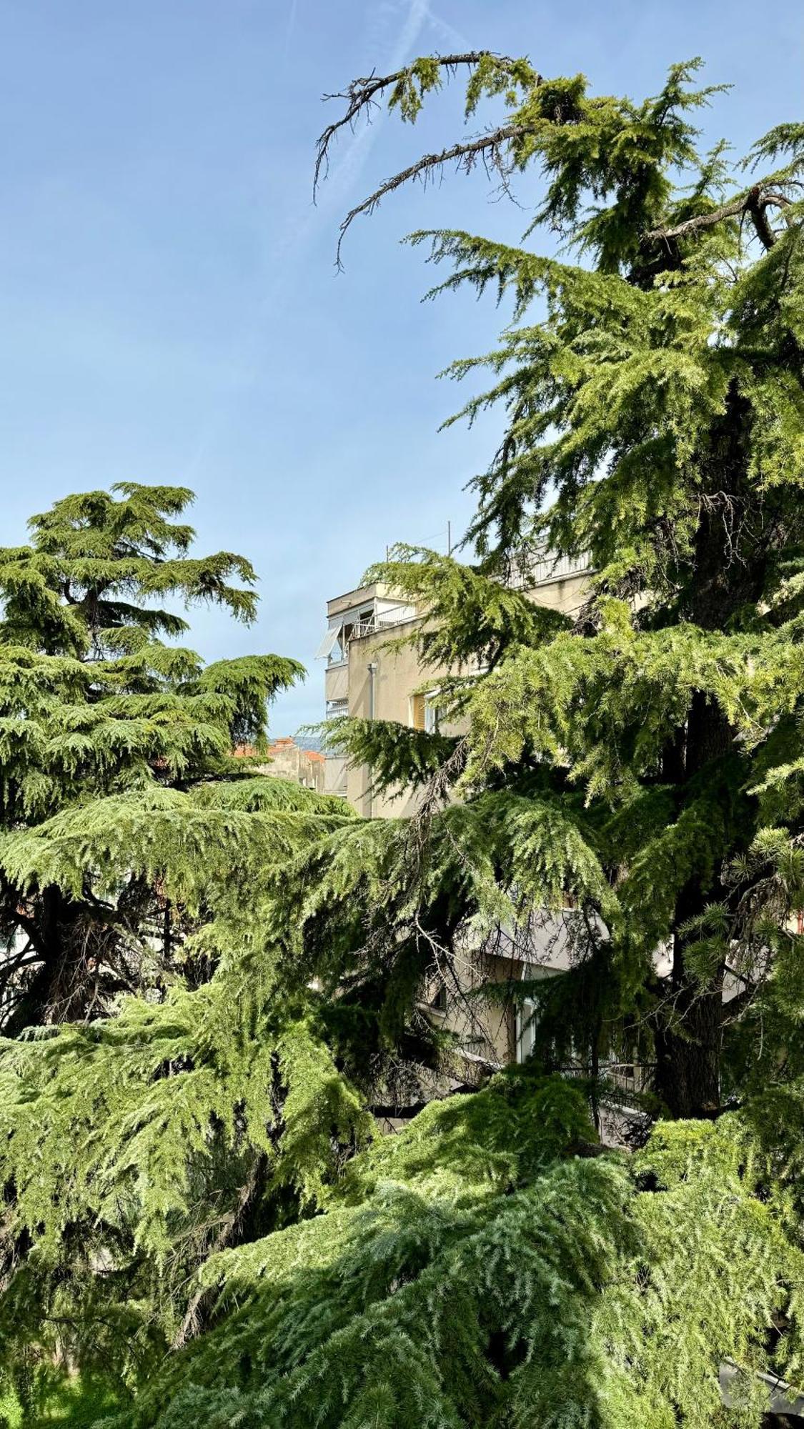 Jardin Rooms Спліт Екстер'єр фото
